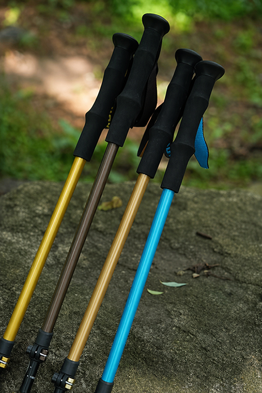 Trekking Poles3