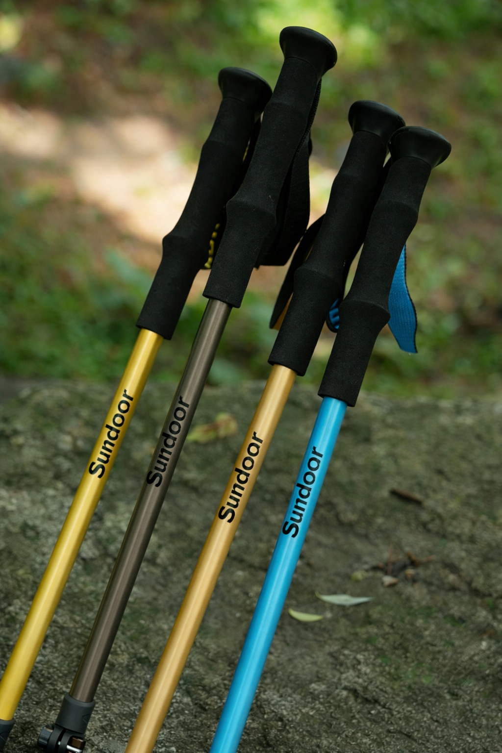 Trekking Poles1